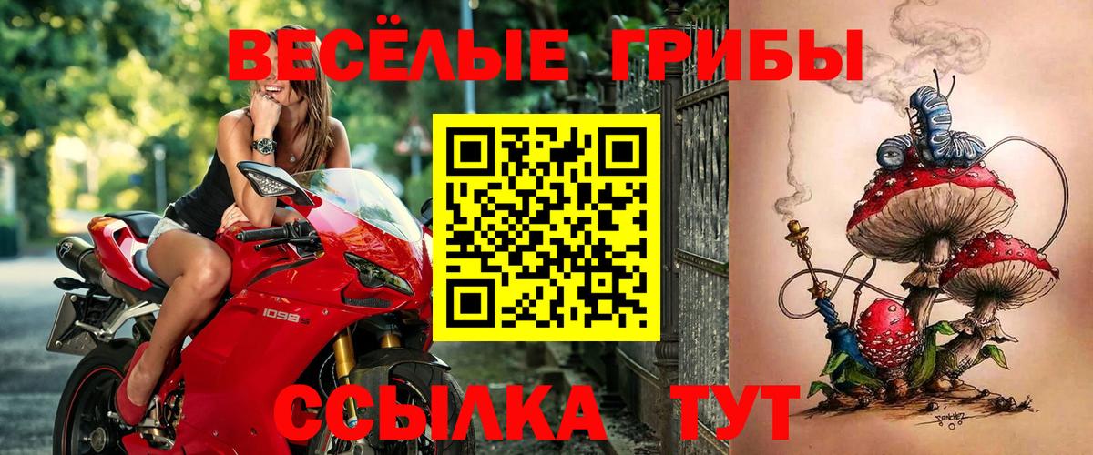 Барабинск  Псилоцибиновые грибы MAGIC MUSHROOMS  закладка  Вход с VPN  Галлюциногенные грибы Magic Shrooms 