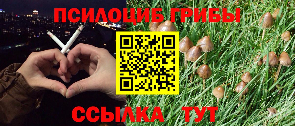 Галлюциногенные грибы мицелий Барабинск